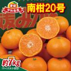 南柑20号大小混合7kg南四国ファーム温州