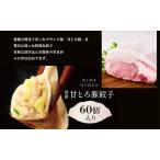 愛媛の甘とろ豚餃子 60個