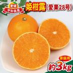 まどんな 3kg