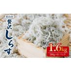 釜揚げしらす 1.6kg
