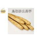 fu.... налог B24-217 Tottori песок . китайский ямс [ ограниченное количество ] Tottori префектура 