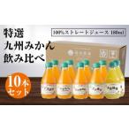ふるさと納税 特選 九州みかん ジュース 5種飲み比べ 180ml×10本セット 熊本県