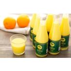 みかんジュース 100% 宮内伊予柑 300ml×6本