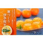 いよかん ゼリー 12個