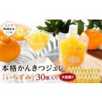 本格かんきつジュレ いちずみ せとか 30個セット