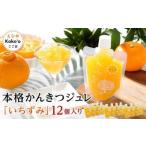 本格かんきつジュレ いちずみ 12個入り