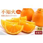 不知火 しらぬい 約5kg
