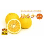 はるか 優品 約2.5kg