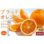 ブラッドオレンジ 約5kg
