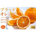 ブラッドオレンジ 約5kg