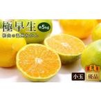 極早生 優品 小玉 約5kg