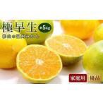 極早生 優品 約5kg