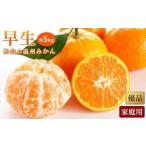 甘平 約5kg