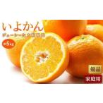 いよかん 約5kg