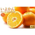 いよかん 約5kg