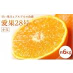 愛果28号 紅まどんな と同品種 小玉 約6kg