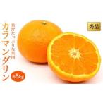 カラマンダリン 約5kg
