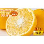 甘夏 優品 10玉
