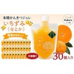 本格かんきつジュレ いちずみ せとか 30個セット
