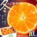 温州みかん 青島 約10kg