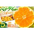 温州高糖度 原口みかん 約5kg