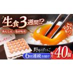 ふるさと納税 【6回定期便】産みたて新鮮たまご 野中のたまご  計240個[OAC005] 長崎県川棚町