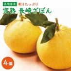 長崎ざぼん 4個
