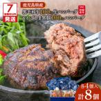 黒毛和牛 100% 生ハンバーグ &amp;