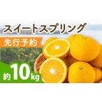 ショッピングふるさと納税 先行予約 ふるさと納税 【先行予約】長崎県産スイートスプリング 約10kg[OCU001] みかん ミカン 長崎県川棚町