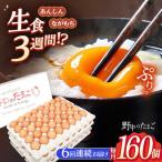 たまご 野中のたまご 160個