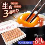 たまご 野中のたまご 80個
