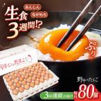 たまご 野中のたまご 80個
