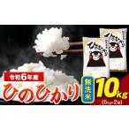 ふるさと納税 令和6年産 ひのひかり 無洗米 10kg 《7-14日以内に出荷予定(土日祝除く)》 5kg×2袋 熊本県産(荒尾市産含む) 米 精米 ひ.. 熊本県荒尾市
