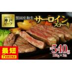 神戸牛 サーロイン 540g