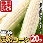 白いとうもろこし 雪やこんコーン 20本