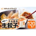 fu.... налог ..... Chan. чёрный свинья ввод .... сырой гёдза 120 штук входит K027-003...tina-.. данный гарнир кемпинг уличный gran pi.. Кагосима префектура Кагосима город 