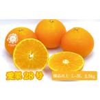 ふるさと納税 【2025年12月上旬から発送】愛果28号 優品以上 L〜3L玉 2.5kg あいか | 愛媛 みかん 先行予約 紅まどんな 紅マドンナ と同品種 蜜.. 愛媛県松山市