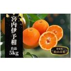 良品 約 5kg