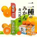 二種のみかん食べ比べ箱 愛果28号 はれひめ