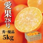 愛果28号 紅まどんな と同品種 約5kg