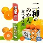 二種のみかん食べ比べ箱 愛果28号 はれひめ