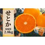 約2.8kg
