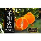 不知火 約 2.5kg