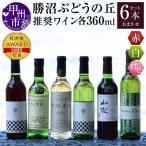 ワイン 勝沼ぶどうの丘推奨ワイン360ml6本セット