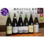 ふるさと納税 ワイン 勝沼ぶどうの丘推奨一升瓶ワイン 6本セット（KBO）H-650 山梨県甲州市