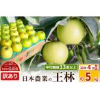 ショッピングふるさと納税 訳あり 傷 ふるさと納税 【寄附額見直しました】【26年4月クール便発送】りんご 平均糖度13度以上！ 王林 約5kg 訳あり CA貯蔵 クール便 青森 果物 フルー.. 青森県弘前市