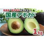 アボカド 1kg