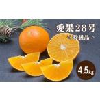 特級品 愛果28号 紅まどんな と同品種 4.5kg