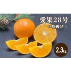 特級品 愛果28号 紅まどんな と同品種 2.3kg