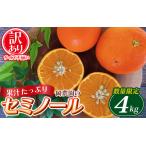 ふるさと納税 セミノール わけあり 訳あり 家庭用 みかん 蜜柑 数量限定 先行予約 ミカン 訳あり品 サイズ不揃い ご家庭用 / 岡農園のセミノール.. 三重県紀宝町